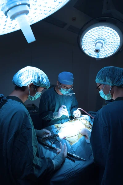 Groep Van Dierenarts Chirurgie Operatie Kamer Meenemen Aan Kunst Verlichting — Stockfoto