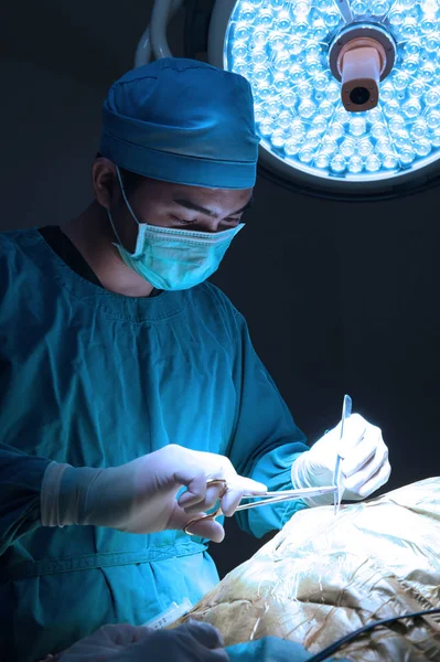 Chirurgie Vétérinaire Salle Opération Prendre Avec Éclairage Art Filtre Bleu — Photo