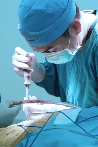 Chirurgie Vétérinaire Salle Opération Prendre Avec Éclairage Art Filtre Bleu — Photo