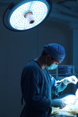 Veteriner Cerrahi operasyon odasında aydınlatma sanat ile almak ve filtre mavi