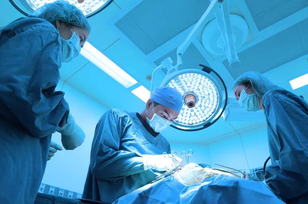 Grupo Cirugía Veterinaria Sala Operaciones Con Iluminación Arte Filtro Azul —  Fotos de Stock