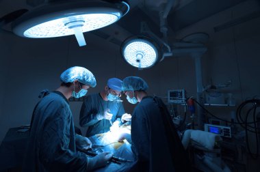 Veteriner Cerrahi operasyon odasında grup aydınlatma sanat ile almak ve filtre mavi