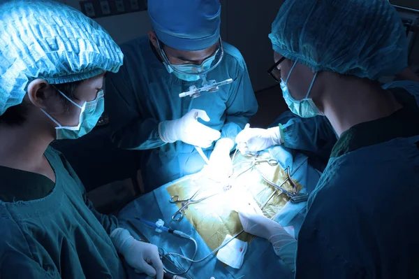 Groep Van Dierenarts Chirurgie Operatie Kamer Meenemen Aan Kunst Verlichting — Stockfoto