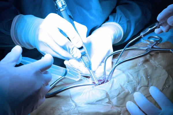 兽医医生在手术室为腹腔镜手术与艺术照明和蓝色的筛选器 — 图库照片