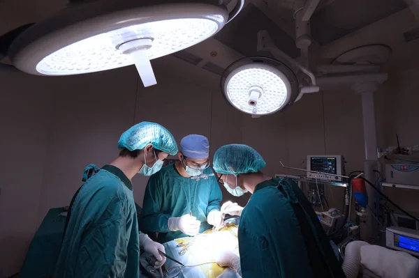 Groep Van Dierenarts Chirurgie Operatie Kamer — Stockfoto