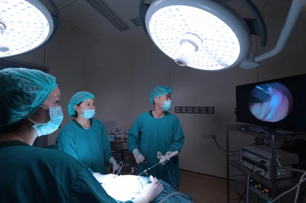 Group Veterinarian Surgery Operation Room Laparoscopic — Stock Photo, Image