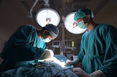 iki veteriner Cerrahi operasyon odasında 