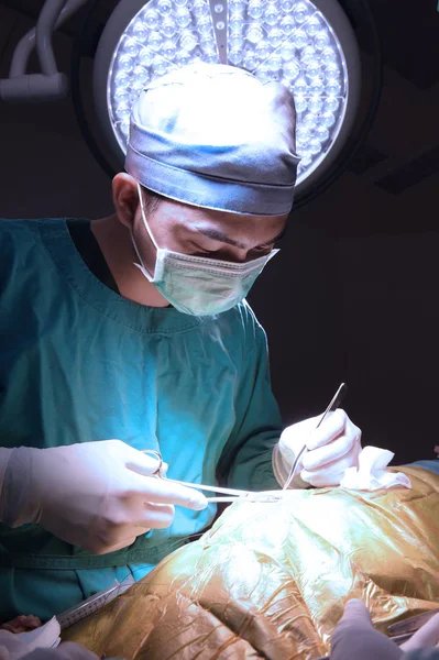 獣医外科手術室 — ストック写真