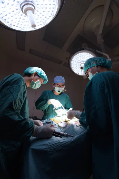 Groep Van Dierenarts Chirurgie Operatie Kamer — Stockfoto