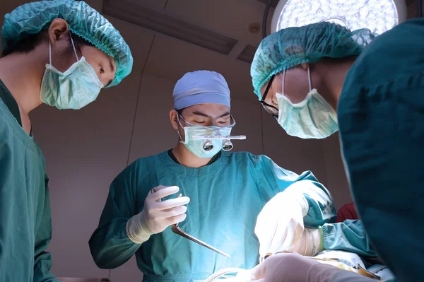 Groep Van Dierenarts Chirurgie Operatie Kamer — Stockfoto