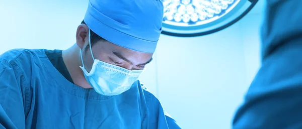 Chirurgie Vétérinaire Salle Opération Prendre Avec Éclairage Art Filtre Bleu — Photo