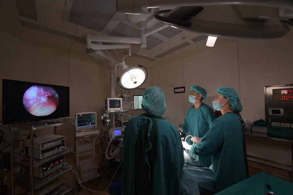 Groupe Chirurgie Vétérinaire Salle Opération Pour Laparoscopique — Photo