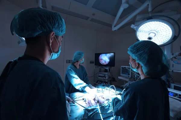 Group Veterinarian Surgery Operation Room Laparoscopic Take Art Lighting Blue — Stock Photo, Image