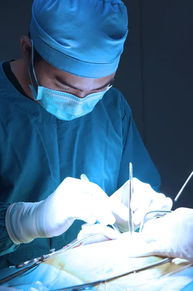 Cirugía Veterinaria Sala Operaciones Con Iluminación Arte Filtro Azul —  Fotos de Stock