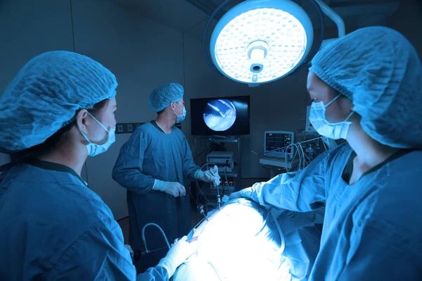 Група Ветеринарної Хірургії Операційній Кімнаті Лапароскопічного Прийому Художнім Освітленням Синім — стокове фото