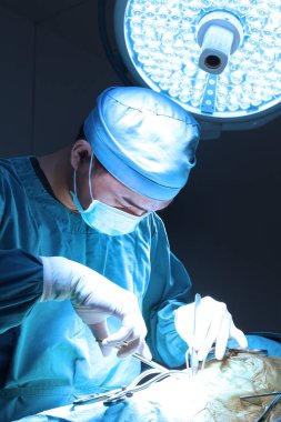 Veteriner Cerrahi operasyon odasında aydınlatma sanat ile almak ve filtre mavi