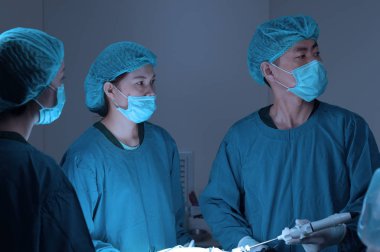 Veteriner Cerrahi Laparoskopik almak ile sanat için operasyon odasında grup aydınlatma ve mavi filtre
