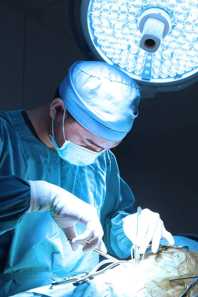 Állatorvos Műtét Művelet Szobában Magával Művészet Világítás Kék Szűrő — Stock Fotó