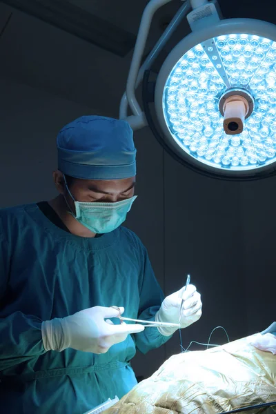 Dierenarts Chirurgie Operatie Kamer Meenemen Aan Kunst Verlichting Blauw Filter — Stockfoto