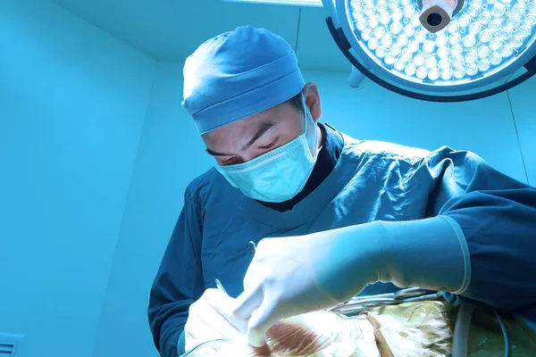 Dierenarts Chirurgie Operatie Kamer Meenemen Aan Kunst Verlichting Blauw Filter — Stockfoto