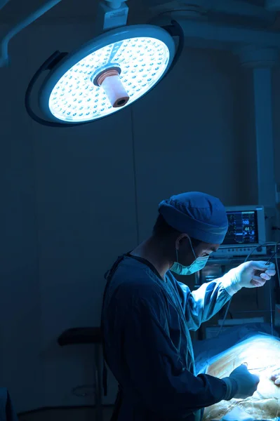 Cirugía Veterinaria Sala Operaciones Con Iluminación Arte Filtro Azul —  Fotos de Stock