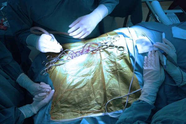 Veterinární Lékař Provozu Místnosti Pro Laparoskopické Chirurgické Take Uměním Osvětlení — Stock fotografie