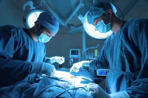 Дві Ветеринарної Хірургії Операційній Кімнаті Беруть Художнім Освітленням Синім Фільтром — стокове фото