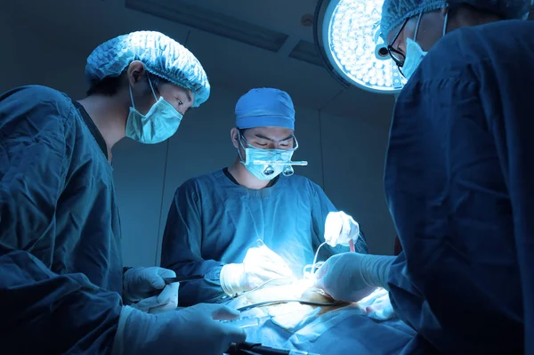 Grupo Cirugía Veterinaria Sala Operaciones Con Iluminación Arte Filtro Azul — Foto de Stock