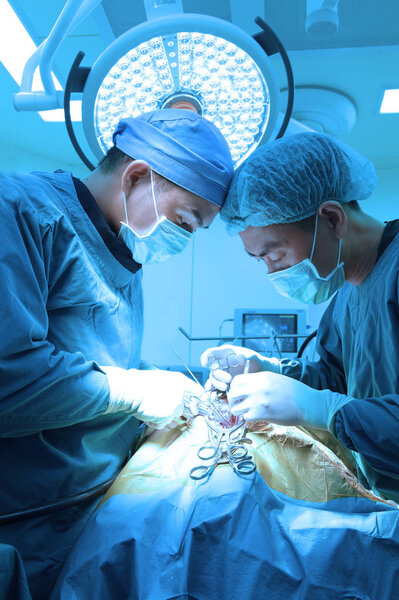 two of veterinarian surgery in operation room take with art lighting and blue filter
