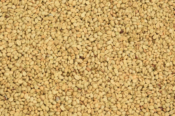 Fresh Coffee Beans Roast Background — Stock Photo, Image