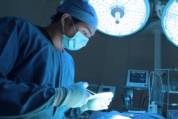 Cirugía Veterinaria Sala Operaciones Con Iluminación Arte Filtro Azul — Foto de Stock