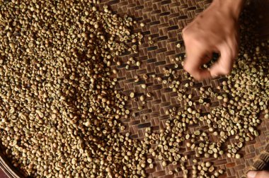  arka plan için kızartma önce taze kahve çekirdekleri