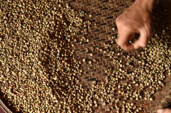  arka plan için kızartma önce taze kahve çekirdekleri