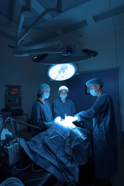 Skupina Veterinární Chirurgie Operační Místnosti Pro Laparoskopické Take Uměním Osvětlení — Stock fotografie