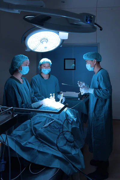 在腹腔镜取拿的手术室与艺术照明和蓝色过滤器的兽医手术组 — 图库照片