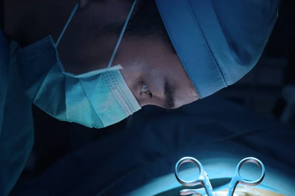 Ветеринарна Хірургія Операційній Кімнаті Взяти Художнім Освітленням Синім Фільтром — стокове фото