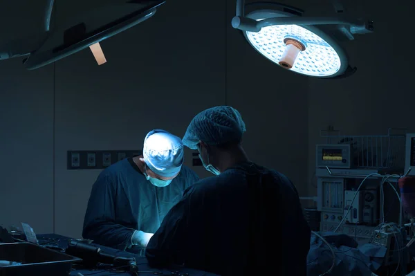 Дві Ветеринарної Хірургії Операційній Кімнаті Беруть Художнім Освітленням Синім Фільтром — стокове фото