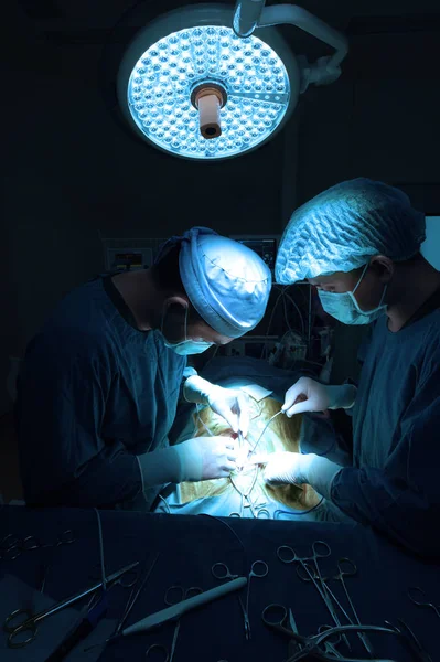 Dva Veterinární Chirurgie Operační Místnosti Vezměte Umění Osvětlení Modrý Filtr — Stock fotografie