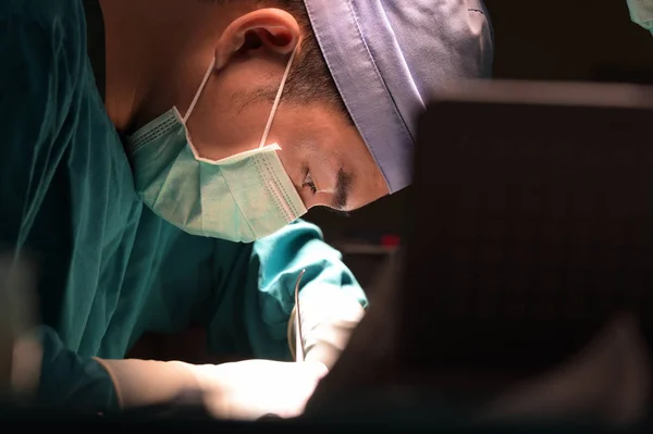 Veterinarian Surgery Operation Room — Stock Photo, Image