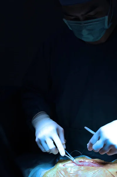 Chirurgie Vétérinaire Salle Opération Prendre Avec Éclairage Art Filtre Bleu — Photo