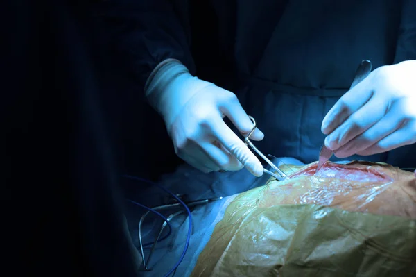 兽医外科手术室带艺术照明和蓝色的筛选器 — 图库照片