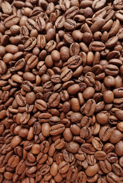 Kávébab Közelsége Háttérhez — Stock Fotó