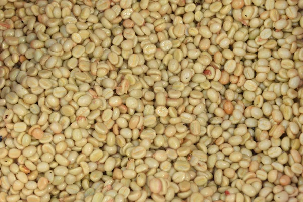 Granos Café Método Fermentación Lavado Procesamiento Húmedo — Foto de Stock