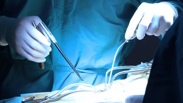 Ветеринарна Хірургія Операційній Кімнаті Взяти Художнім Освітленням Синім Фільтром — стокове фото