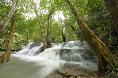 Tayland ormanlarında taşlı güzel bir şelale.