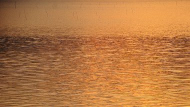 Nehirde güzel bir manzara gün batımı