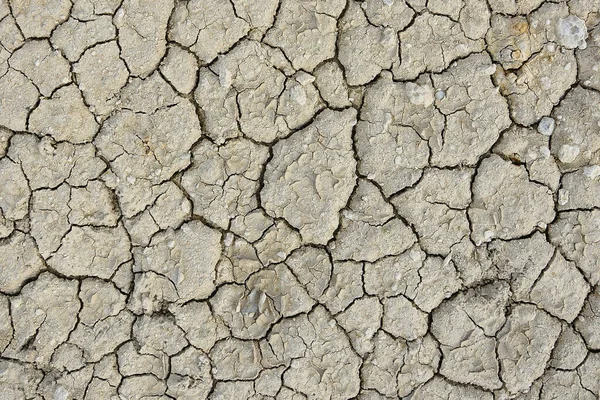 Primer Plano Del Suelo Agrietado Seco Para Fondo —  Fotos de Stock