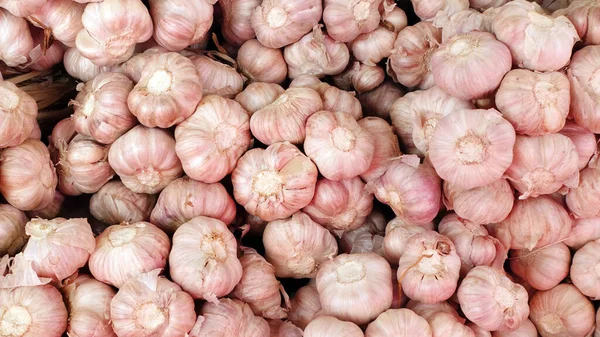 Close Garlic Background — Stock Photo, Image