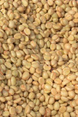 Kahve çekirdekleri, mayalanma ve yıkanma yöntemiyle.