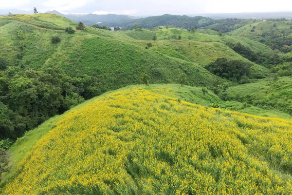 Vista Thung Dok Thueng Tailândia — Fotografia de Stock